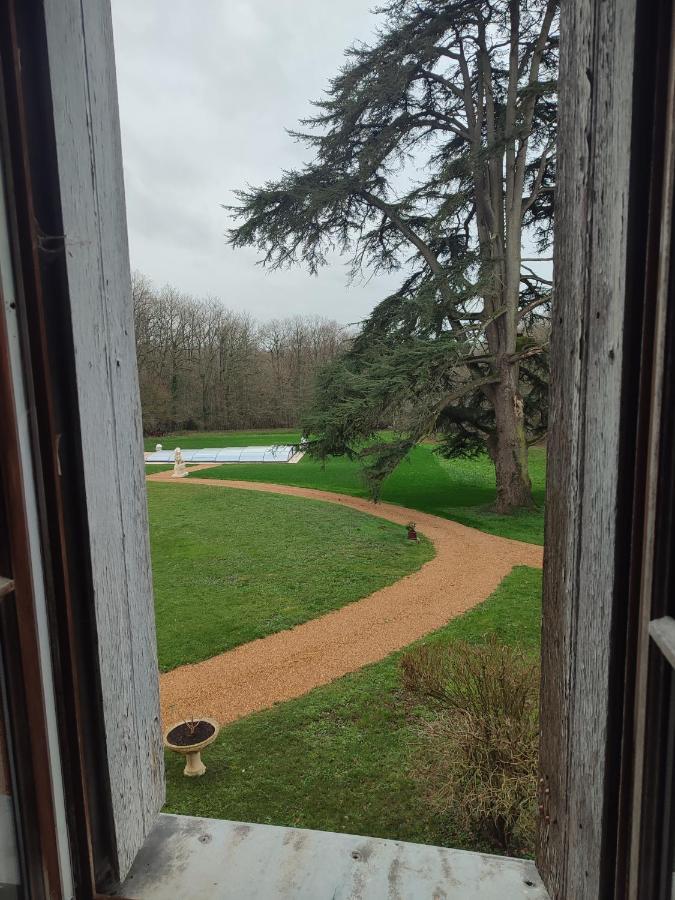 Chateau Le Haut Villaumay Auzouer-en-Touraine Extérieur photo